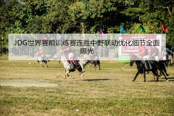 JDG世界赛前训练赛连胜中野联动优化细节全面曝光 | kayuin